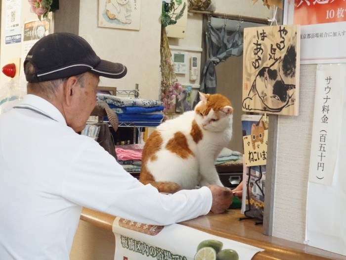 「はい入浴券」「ありがとう」