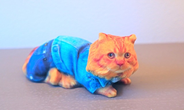 猫の機嫌が良ければ単独で撮影できる