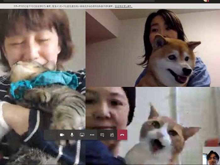 オンライン会議にスタッフのペット（はっぴー、専務、モカ、ラン）も登場。初回の会議はインコの声もして賑やかでした。