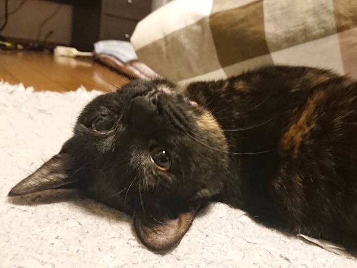 「この部屋おちつくわ－」（信吾さん提供）