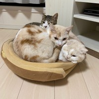 押し合いへし合い、こんな三密なら歓迎