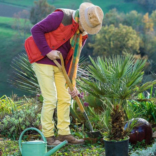 画像はイメージです