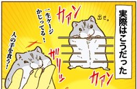 想像と違った…（提供：遊ハちさん）