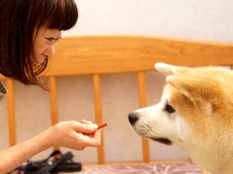 おやつも手から少しづつ食べるように