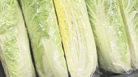 関東で約1カ月雨続き…岡山・香川で野菜が高騰