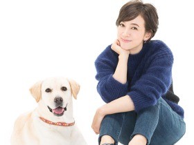 保護犬とどこで出会えますか？　滝川クリステルさんが解説