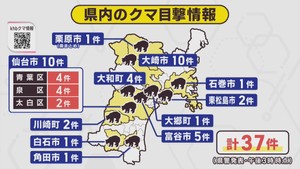 クマの目撃情報　宮城県　１３日午後３時〜１４日午後３時