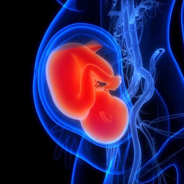 世界最高齢!?の赤ちゃんが誕生