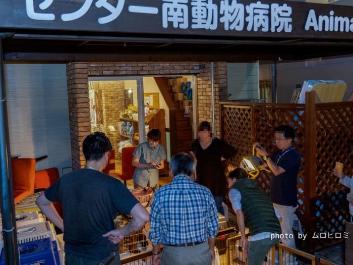 暗くなってからの到着。なにより犬たちが元気でよかった