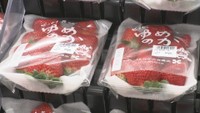 イチゴの価格が高騰　クリスマスケーキにも影響が