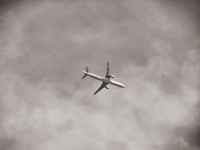 行けなかったオーストラリア。留学を諦めた選択は私に勇気をくれた