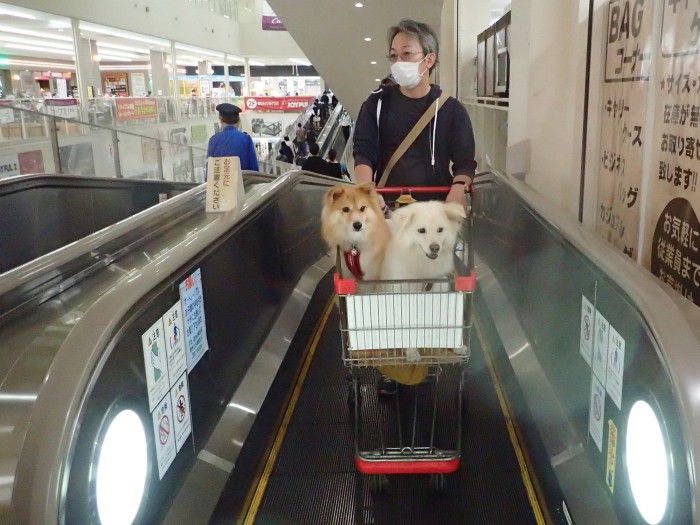 こういうお店がもっと増えて欲しい