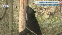 資料