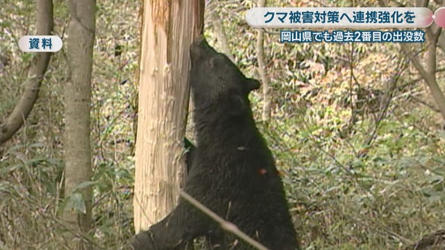 資料