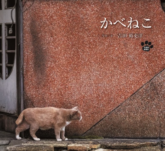 「かべねこ」（北海道新聞社）定価1,296円