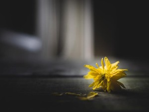 「お母さんと私、どっちが頭悪いと思う？」。確信を持って父に聞いた