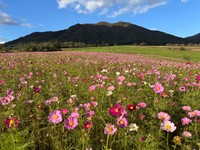 提供：ひるぜんジャージーランド