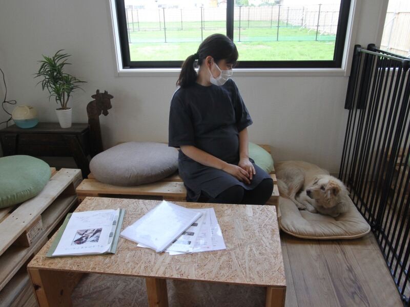 保護犬と出会えるカフェには３つの半個室スペースがあり、一頭の犬とじっくり向き合える。テーブルの上にあるのはその犬のヒストリーを綴った「犬生アルバム」