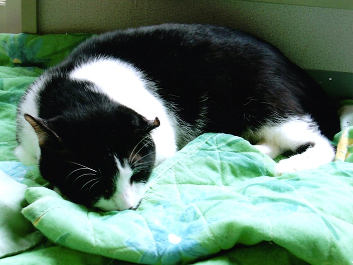 やさしいプルプルは子守でお疲れ