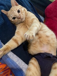 ふくよかになったテオくん