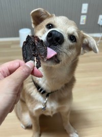 あ〜ん、ぺろり＝あさぎさん（@___a_y_r_）提供