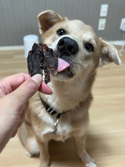 あ〜ん、ぺろり＝あさぎさん（@___a_y_r_）提供