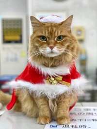 サンタ姿のチャトラン副社長