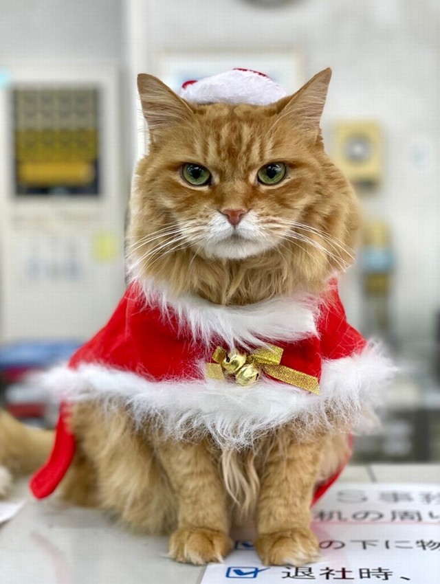 サンタ姿のチャトラン副社長