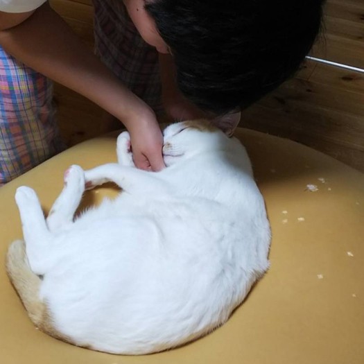 長男と触れあう「ぐーぐー」