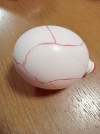 浮袋は白い風船の中にピンクの風船を入れて二重に（カニ軍艦太郎さん提供）