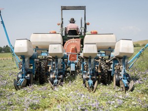 耕さない有機農業はなぜ注目されるのか　ロデール研究所CEO「食は健康な土壌から」