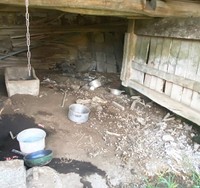 ワンコが過ごしていた場所。周辺には周辺にはイノシシのものとおぼしき骨が