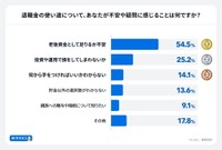 退職金の使い道について不安や疑問を感じること（出典：家計診断・相談サービス「オカネコ」調べ）