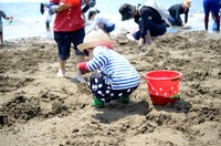 潮干狩りで採ったあさりの砂抜きは？※画像はイメージです（chihana/stock.adobe.com）