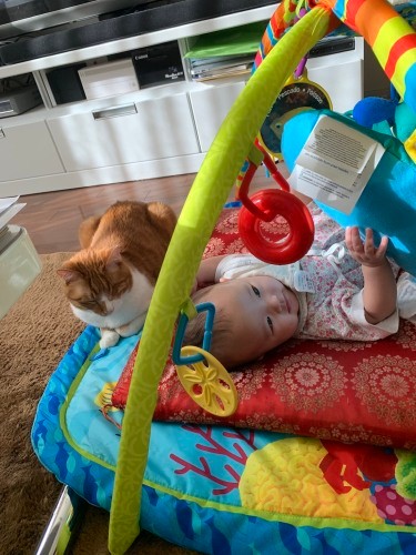 すぐそばで見守るナチョ（高橋さん提供）