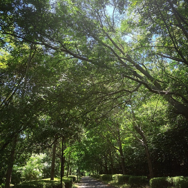 熱い時期が効率いいかもしれません（麗さん提供）