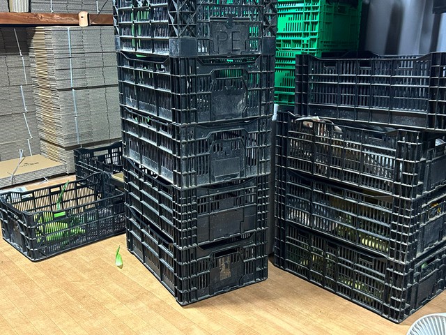 500本のとうもろこしを処理した後の作業場／つむぐ農園｜あやさん（@tsumugunouen）提供