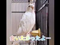 「会いたかったよー」とママに声をかけるプリちゃん（画像提供：ふくぴぃさん）