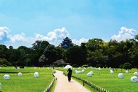 岡山後楽園と岡山城の昼と夜の魅力を発信　フォトコンテストの入賞作品が決定
