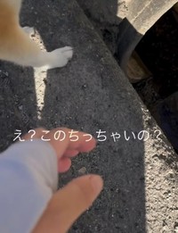 小さい石を発見（提供：y.u.k.i_0310さん）