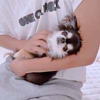 パパが大好きなえびちゃん（画像提供：うにちゃん＆えびちゃん）