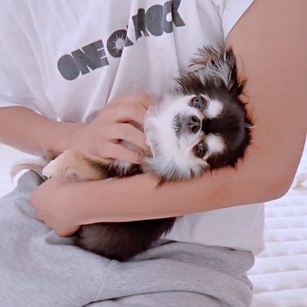 パパが大好きなえびちゃん（画像提供：うにちゃん＆えびちゃん）