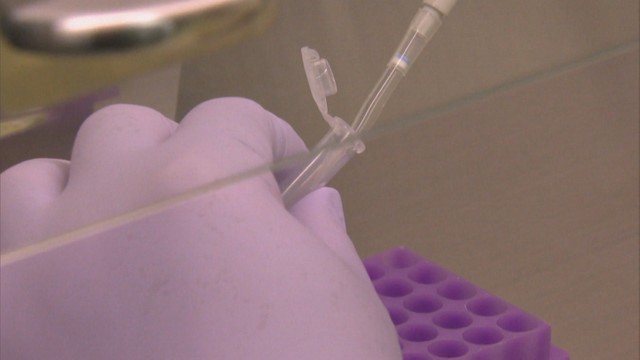 岡山県で141人感染〈新型コロナ〉