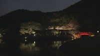 栗林公園（3月30日夜　ライトアップ試験点灯の様子）