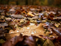 初めての感動を思い出し、何度も新鮮な気持ちになれる思い出の旅