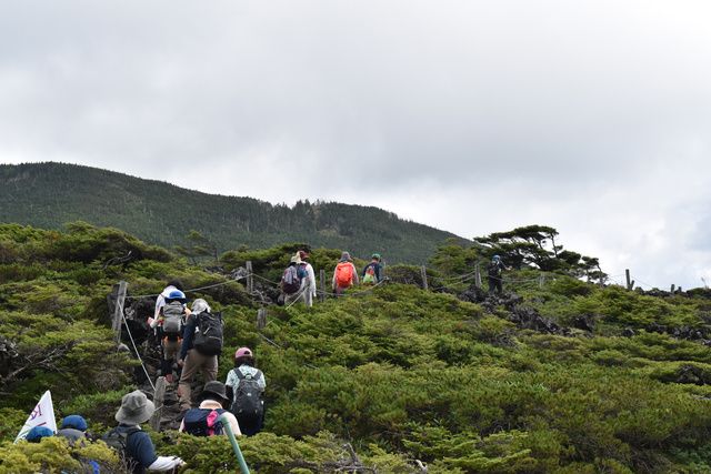 ひとり歩き2本 伊佐美2本　三岳２本 3年ぶり「山歩き会」 標高2480メートルの北横岳を満喫│朝日新聞Re