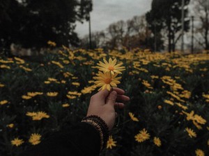 一人でどこへでも行けた私が彼と出会い知った、愛おしいほどの寂しさ