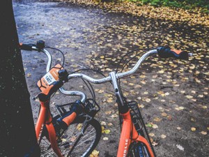 「せっかくだから」濡れていこうと誘った彼女。歌う私を受け止めた雨