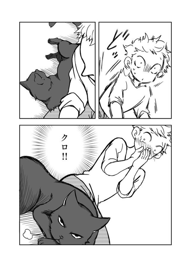（画像提供：黒猫クロさんのマンガより）
