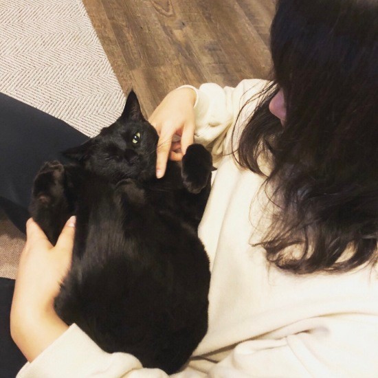 2匹の黒猫兄弟を迎えたカップル トイレ問題や病気を乗り越え